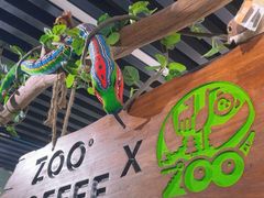 -ZOO COFFEE动物园咖啡(红山森林动物园店)
