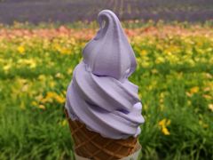 -富田农场