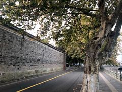-月湖公园