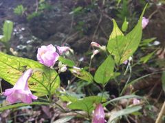 -英西峰林·洞天仙境
