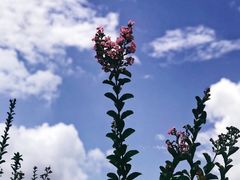 -贵阳市花溪国家城市湿地公园