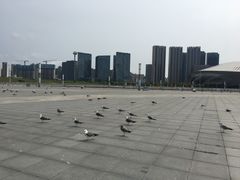 -东港音乐喷泉广场