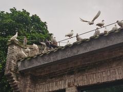 -磁器口古镇