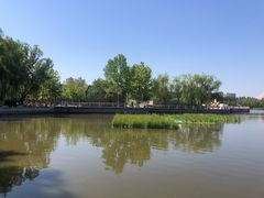 -莲花池公园