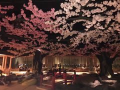 -蓝鲸湾汤泉(包河店)