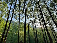 -百里山水画廊