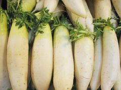 白萝卜-丽的面家(多宝路店)