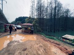 -青龙山国家森林公园