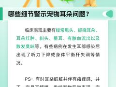 -瑞派申生动物医院·24H夜诊·国际动物医疗中心·骨外科(吴中路店)