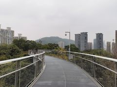 -狐尾山公园