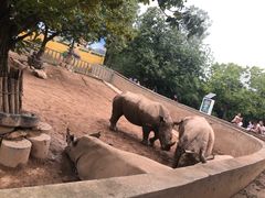 -西安秦岭野生动物园