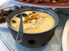 古法海胆炖老豆腐-旺顺阁鱼头泡饼(小红门店)
