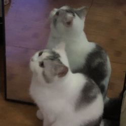 点击看大图 -帆拉斐婚纱摄影(春熙店)