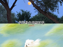 -北京清河万象汇