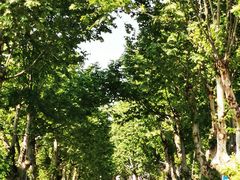 -四川大学(望江校区)
