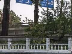 -皇家御河游(紫御湾码头)