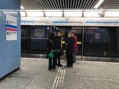 -大龙山(地铁站)