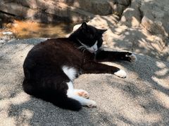 -北京凤凰岭