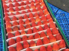 -叶氏兄弟(大连奥特莱斯店)