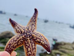 -海源公园