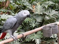 -南宫五洲植物乐园