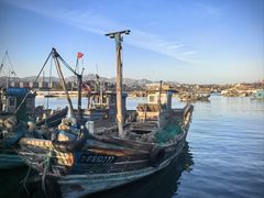 -青岛沙子口国家中心渔港