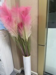 -Dr.林醫生产后修复·配方产康(南京江宁万达店)