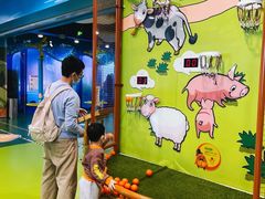 -中国宋庆龄青少年科技文化交流中心
