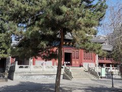 -大钟寺古钟博物馆