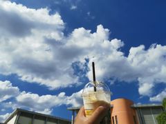 -星巴克(蔡伦路店)