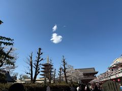 -浅草寺