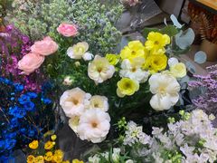 -双季花艺园艺市场(浦东店)