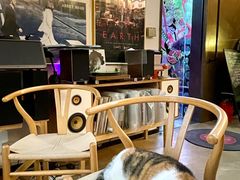 -黑胶星球(华发中城商都店)