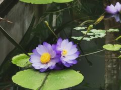 -国家植物园南园