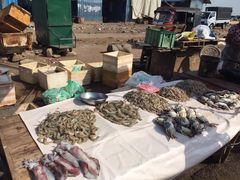 -尼甘布海鲜市场