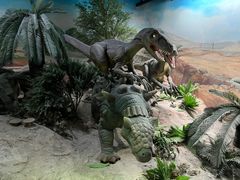 -国家自然博物馆