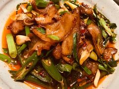 回锅肉-初蓉丨遇见新川菜(亲贤街荣耀店)