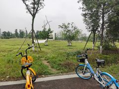 -桂溪生态公园