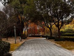-南翔镇银翔湖公园