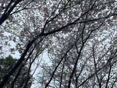 -长广溪湿地公园