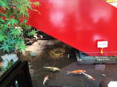 -太阳门淮扬菜(南京博物院店)