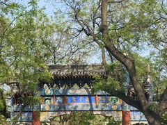 -北京国子监胡同