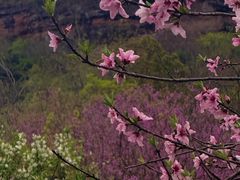 -天台山赤城山景区