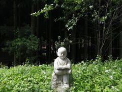 -武陵山森林公园