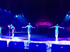 -珠海横琴长隆《卡卡虎奇遇记》