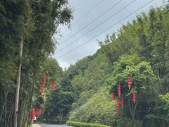 -广州市帽峰山景区