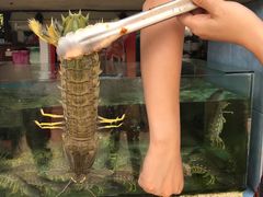 -真浪花园海鲜餐馆