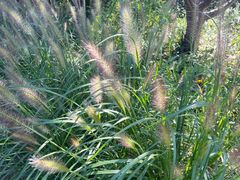 -昆山城市生态森林公园