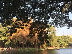 -荔湾湖公园