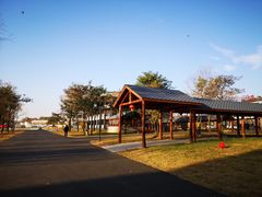 -东海森林温泉度假酒店